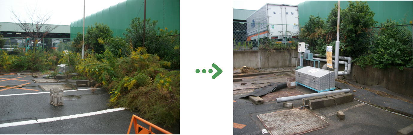 新着　今週の植栽管理施工事例