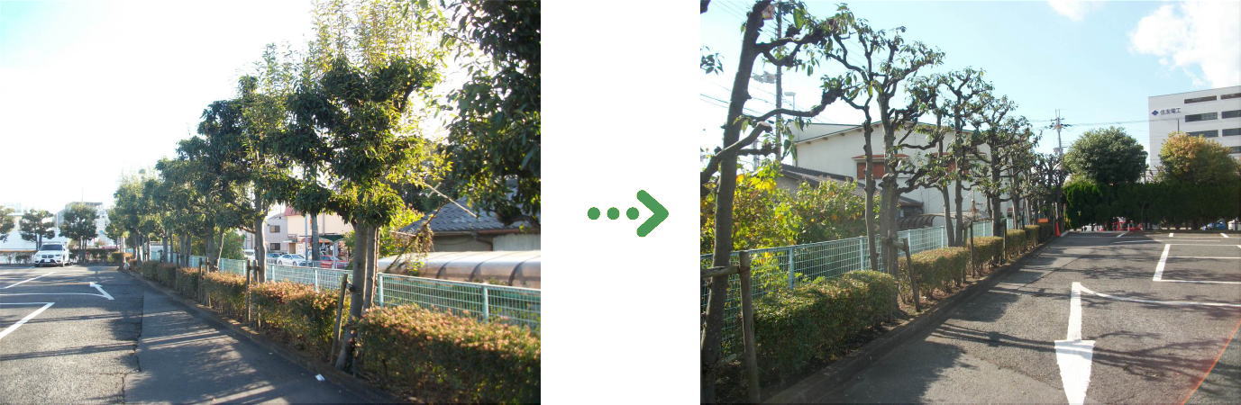 新着　今週の植栽管理施工事例