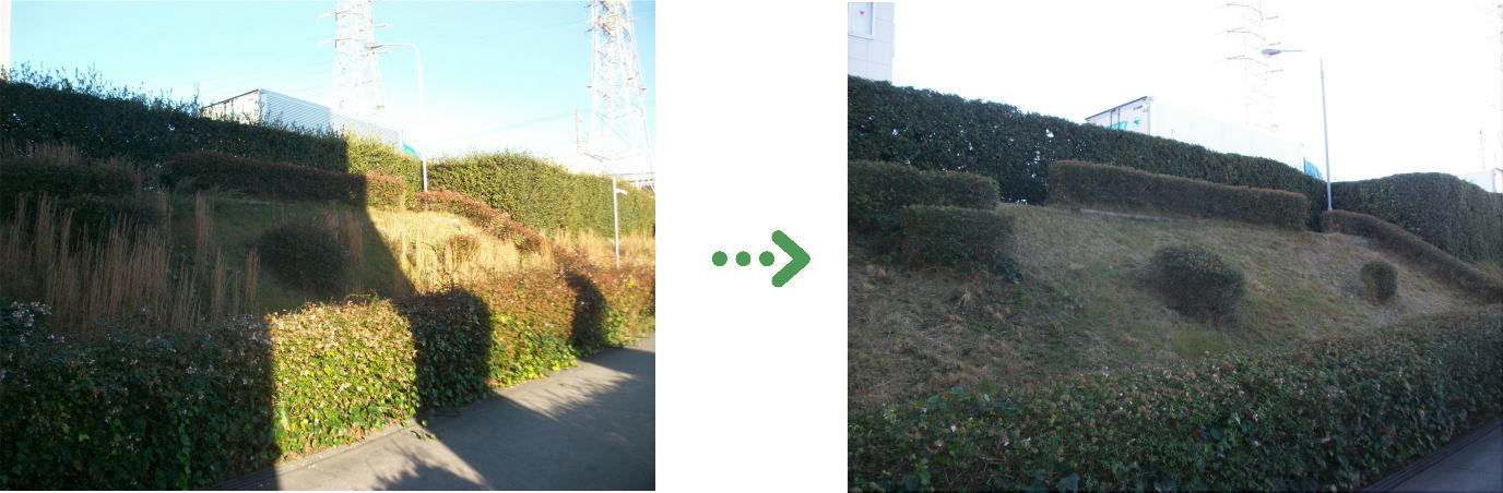 新着　今週の植栽管理施工事例