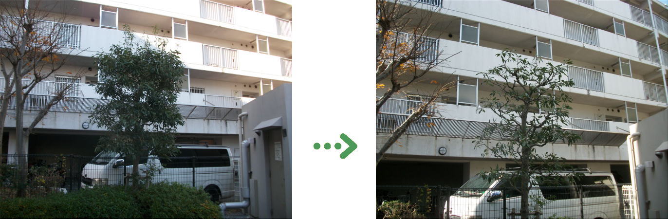 新着 今週の植栽管理施工事例