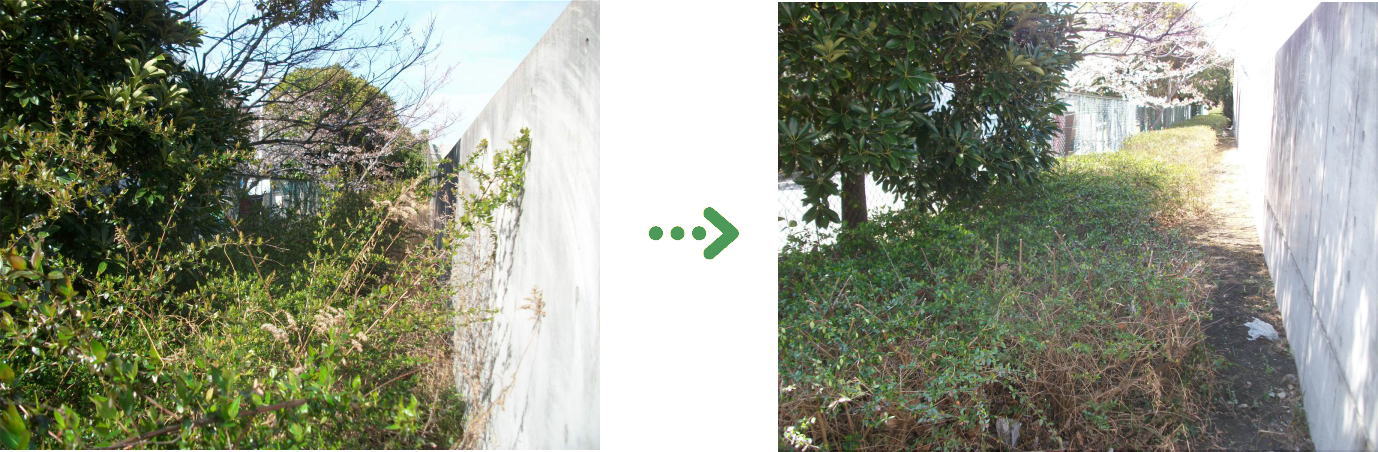 新着　今週の植栽管理施工事例