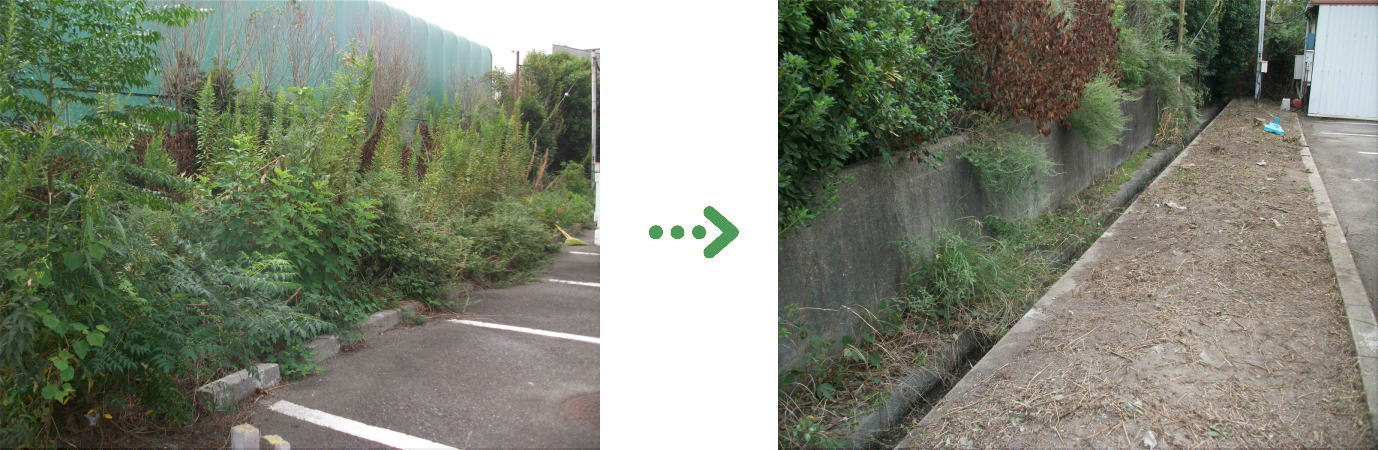 新着 今週の植栽管理施工事例