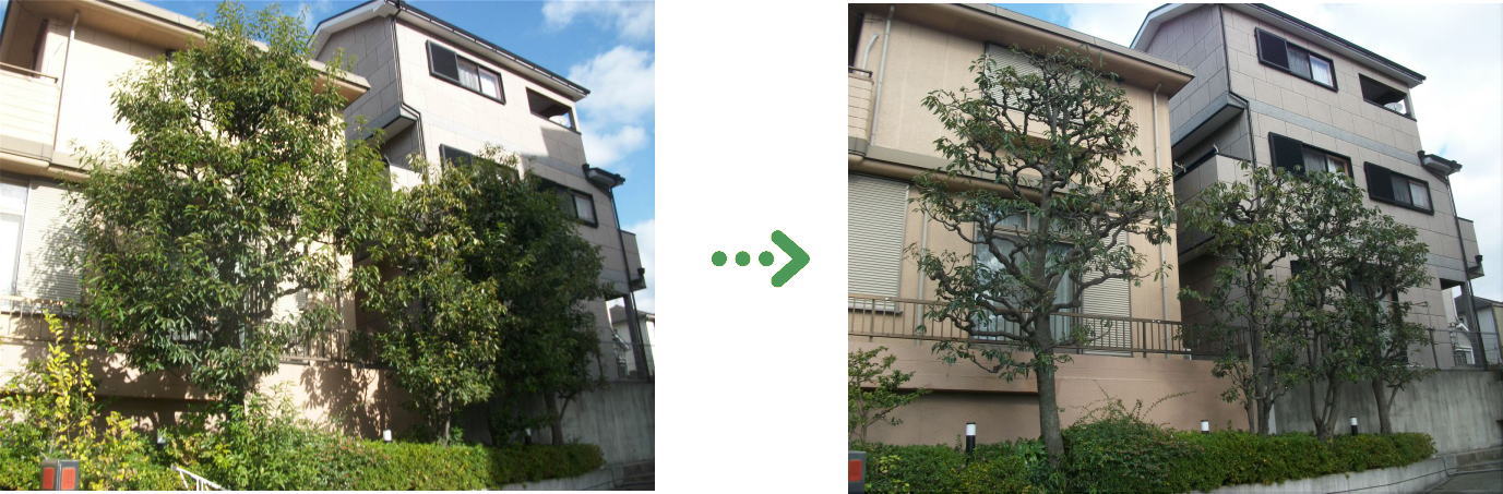 新着 今週の植栽管理施工事例