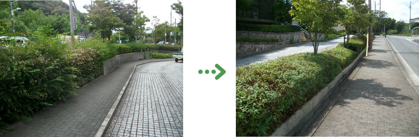 新着 今週の植栽管理施工事例