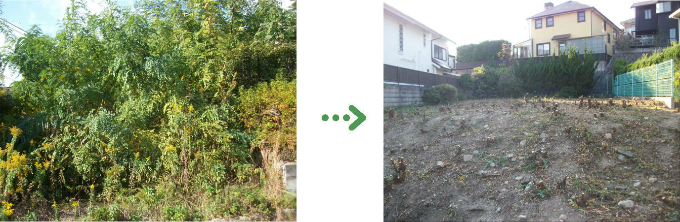 新着 今週の植栽管理施工事例