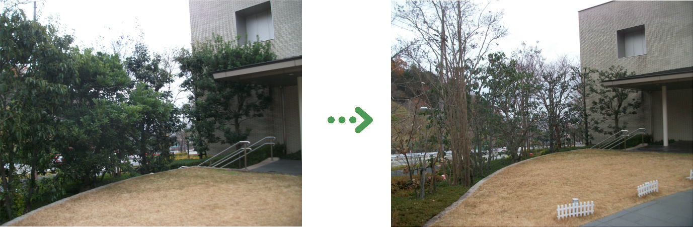 新着　今週の植栽管理施工事例