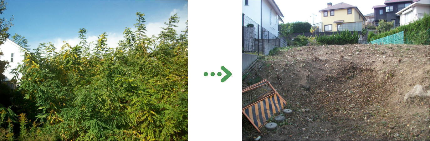 新着 今週の植栽管理施工事例
