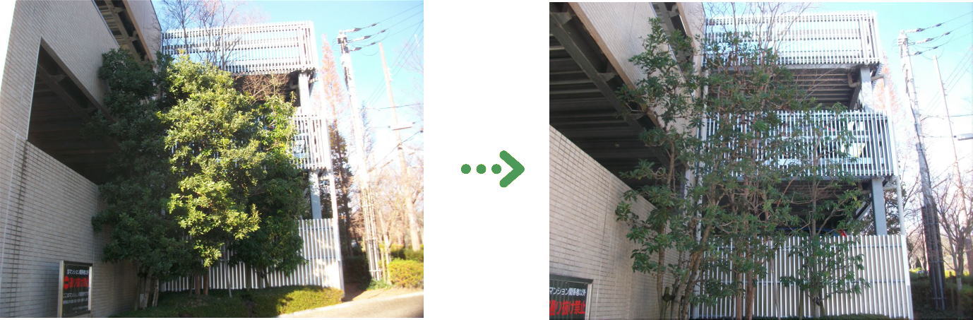 新着　今週の植栽管理施工事例